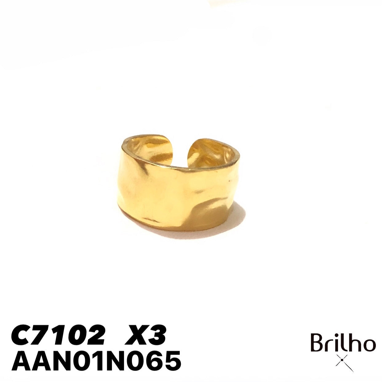 AAN01N065 ANILLO PQX3