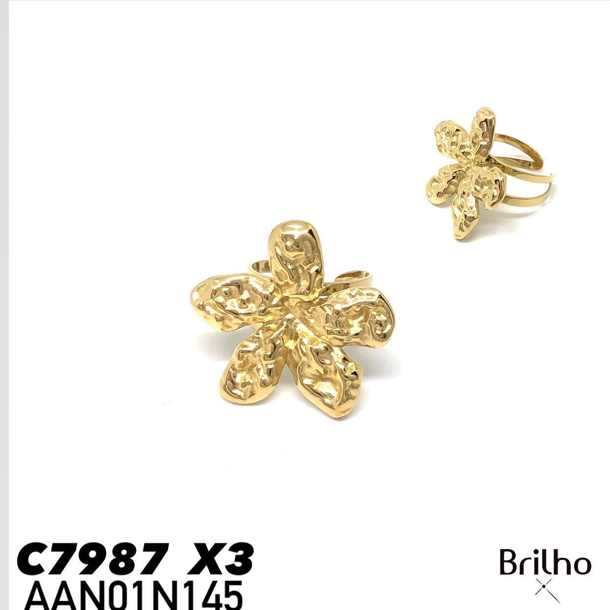 AAN01N145 ANILLO PQX3