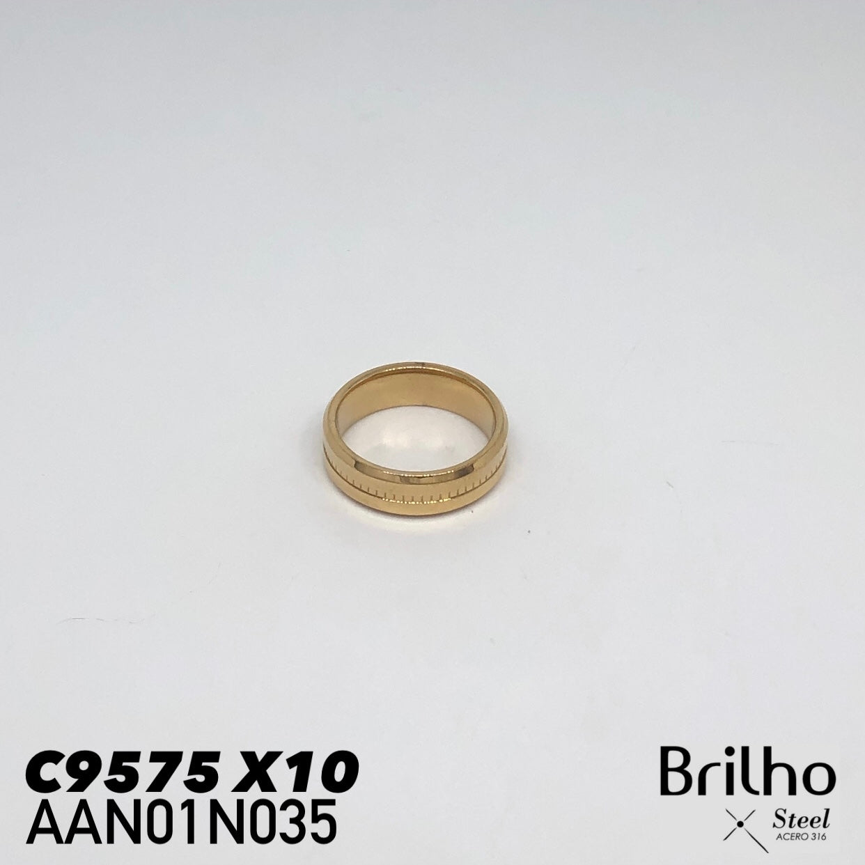AAN01N035 ANILLO PQX10