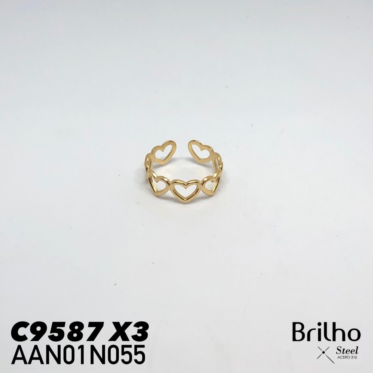 AAN01N055 ANILLO PQX3