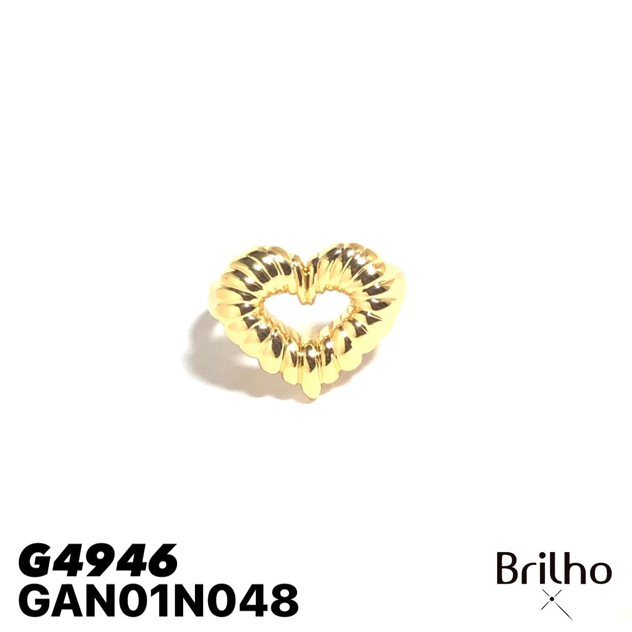GAN01N048 ANILLO