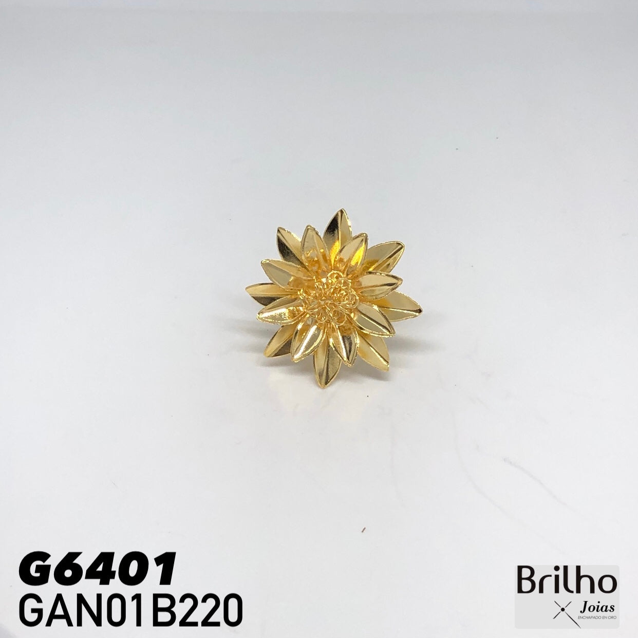 GAN01B220 ANILLO