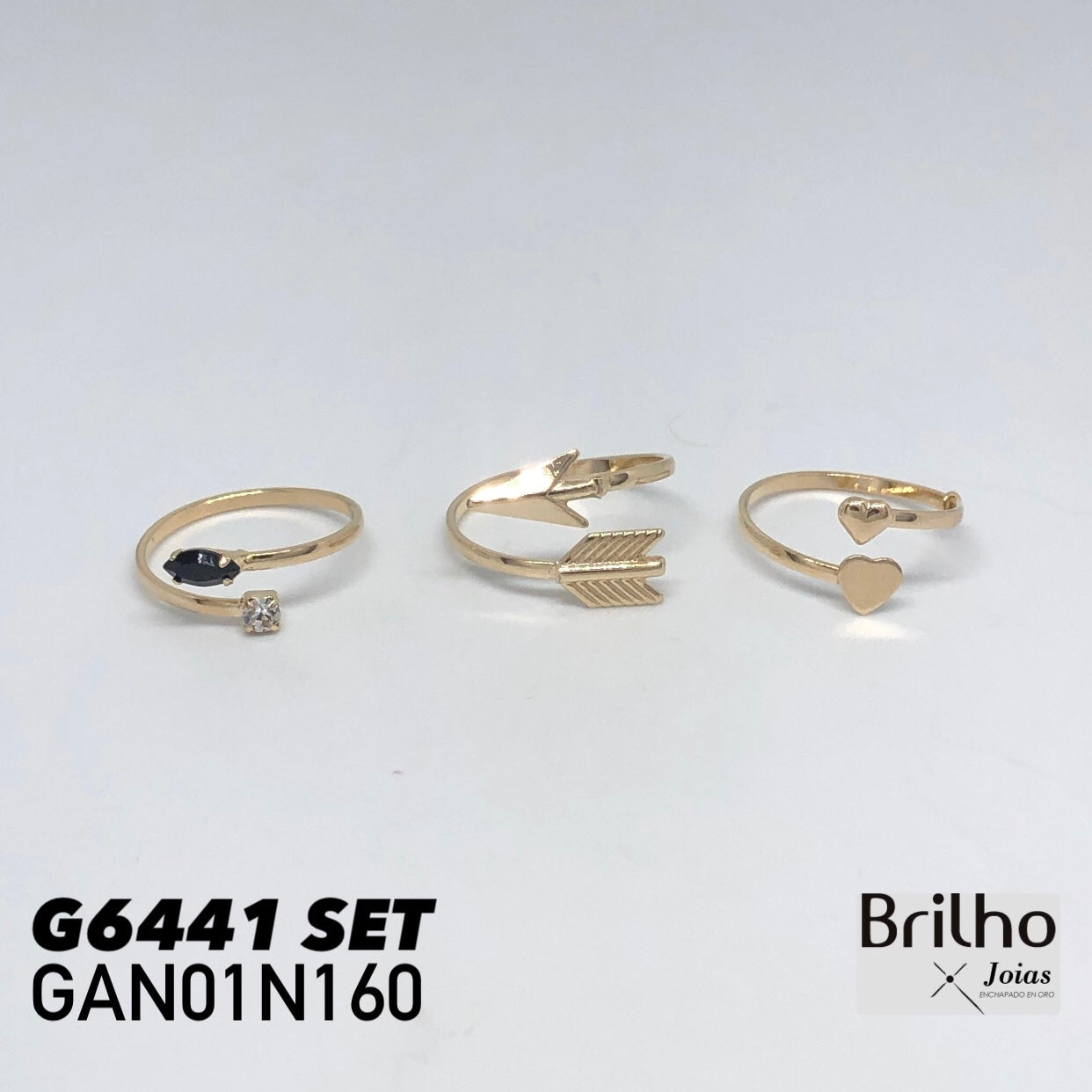 GAN01N160 ANILLO SET