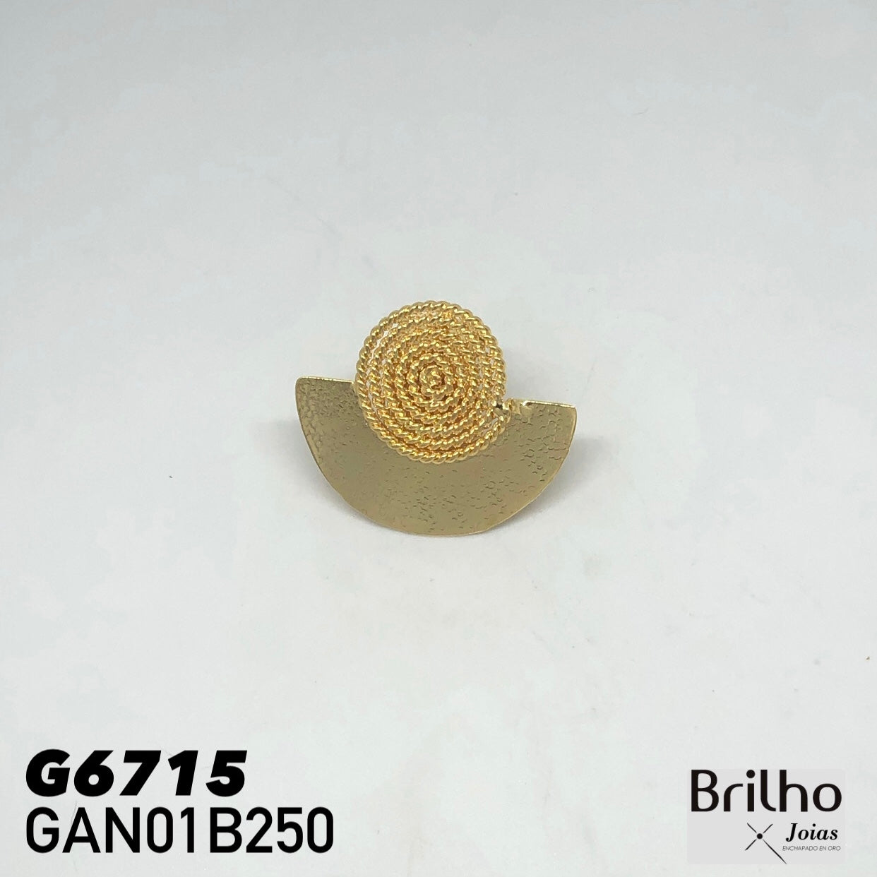 GAN01B250 ANILLO