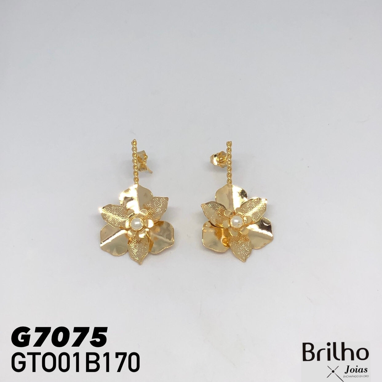 GTO01B170 TOPO