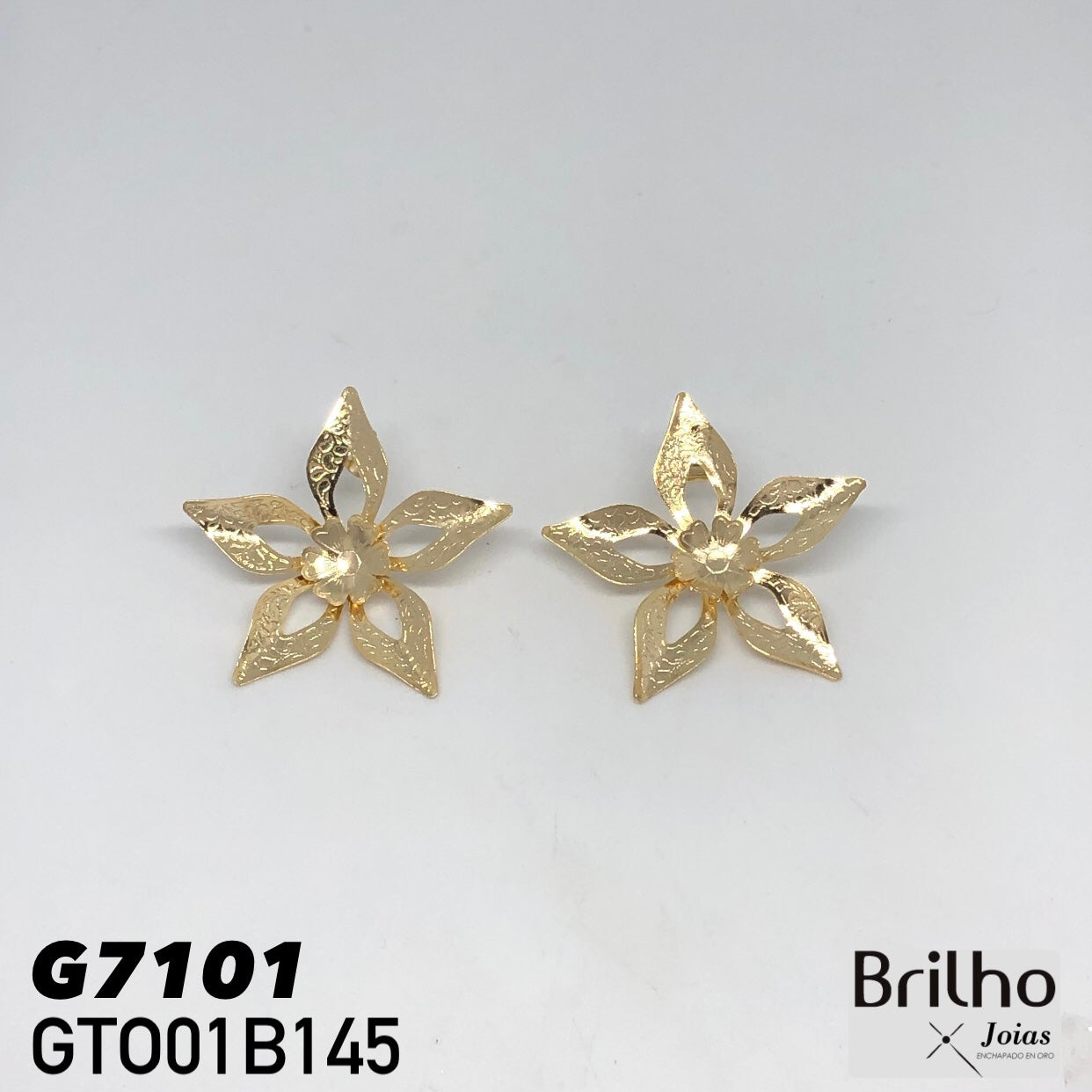 GTO01B145 TOPO