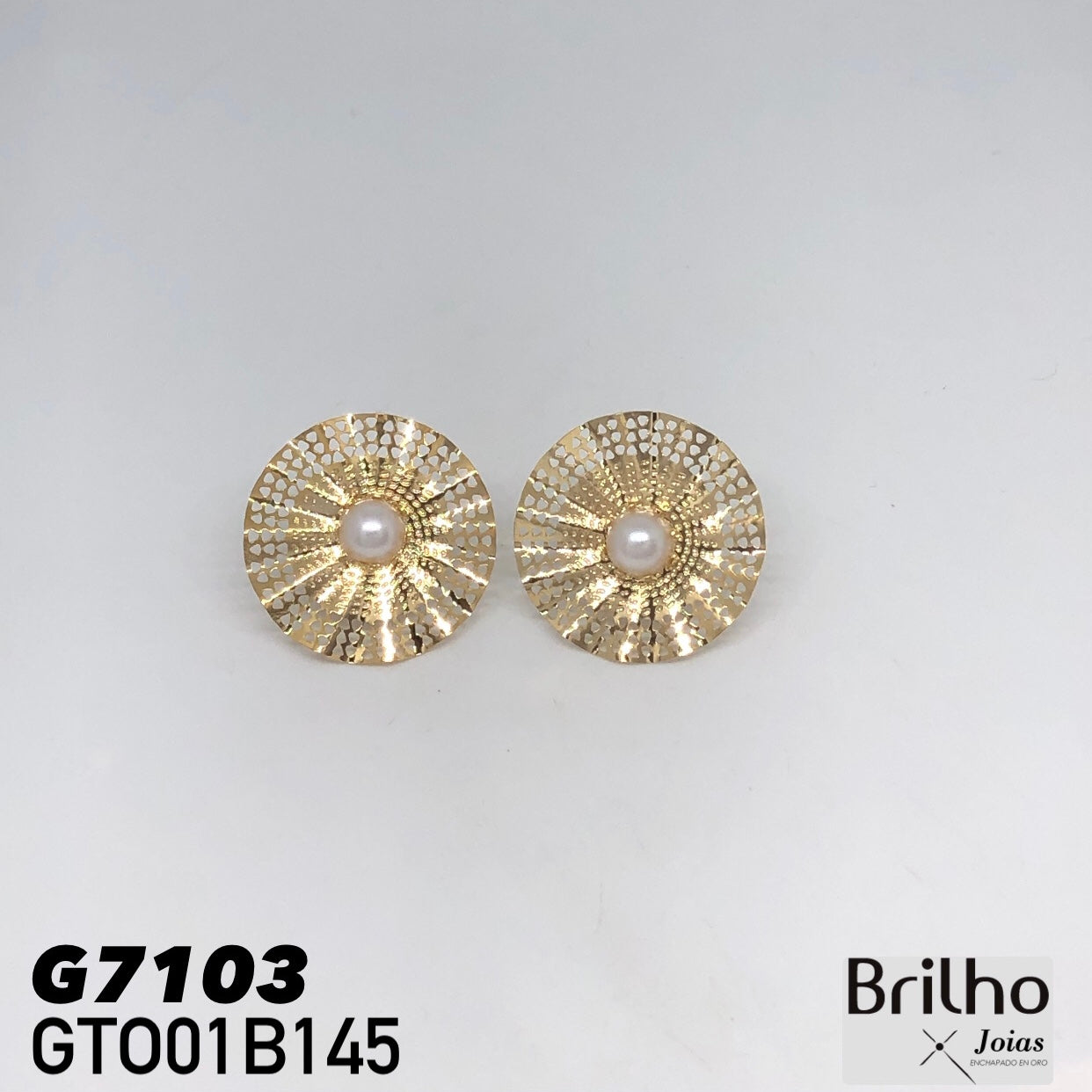 GTO01B145 TOPO