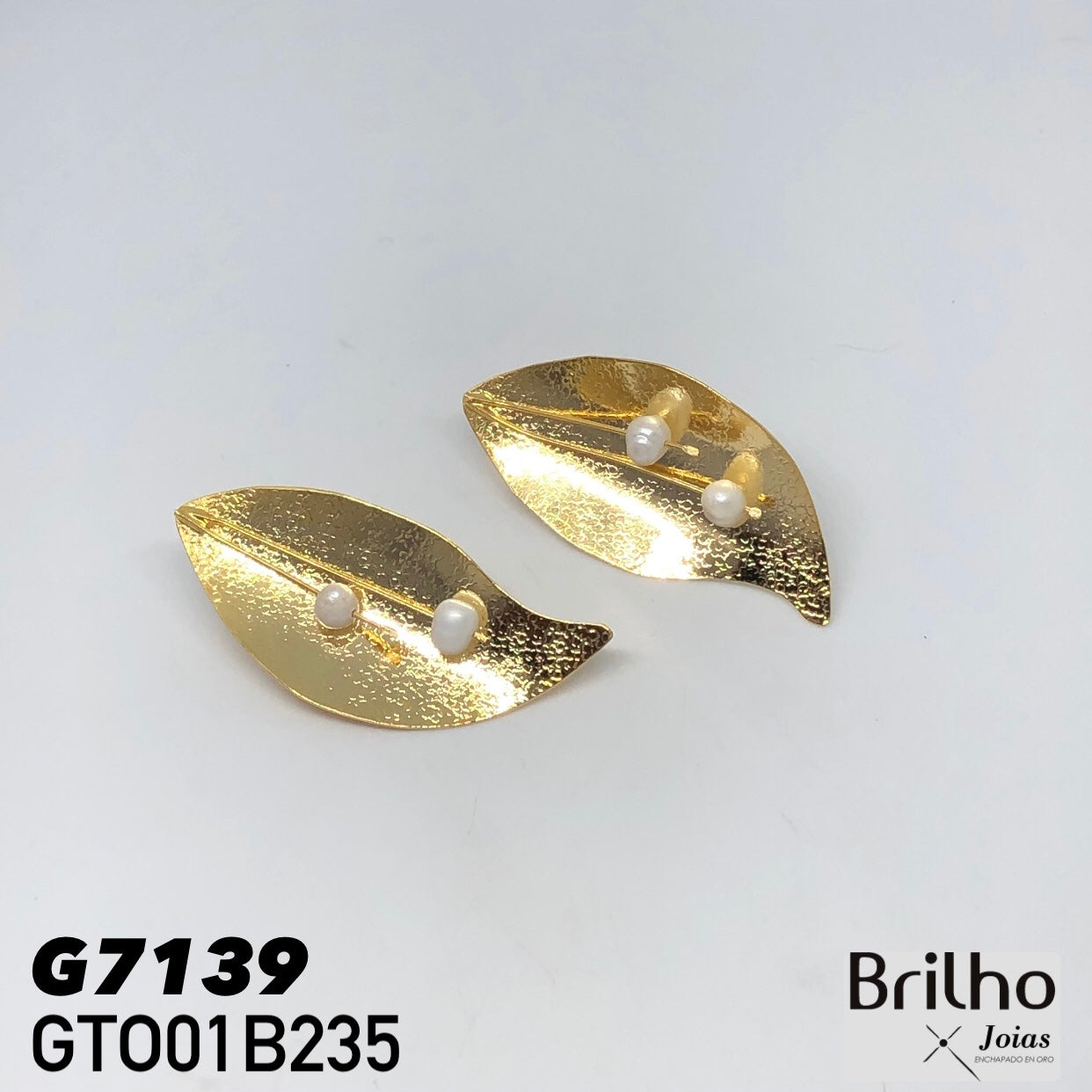 GTO01B235 TOPO