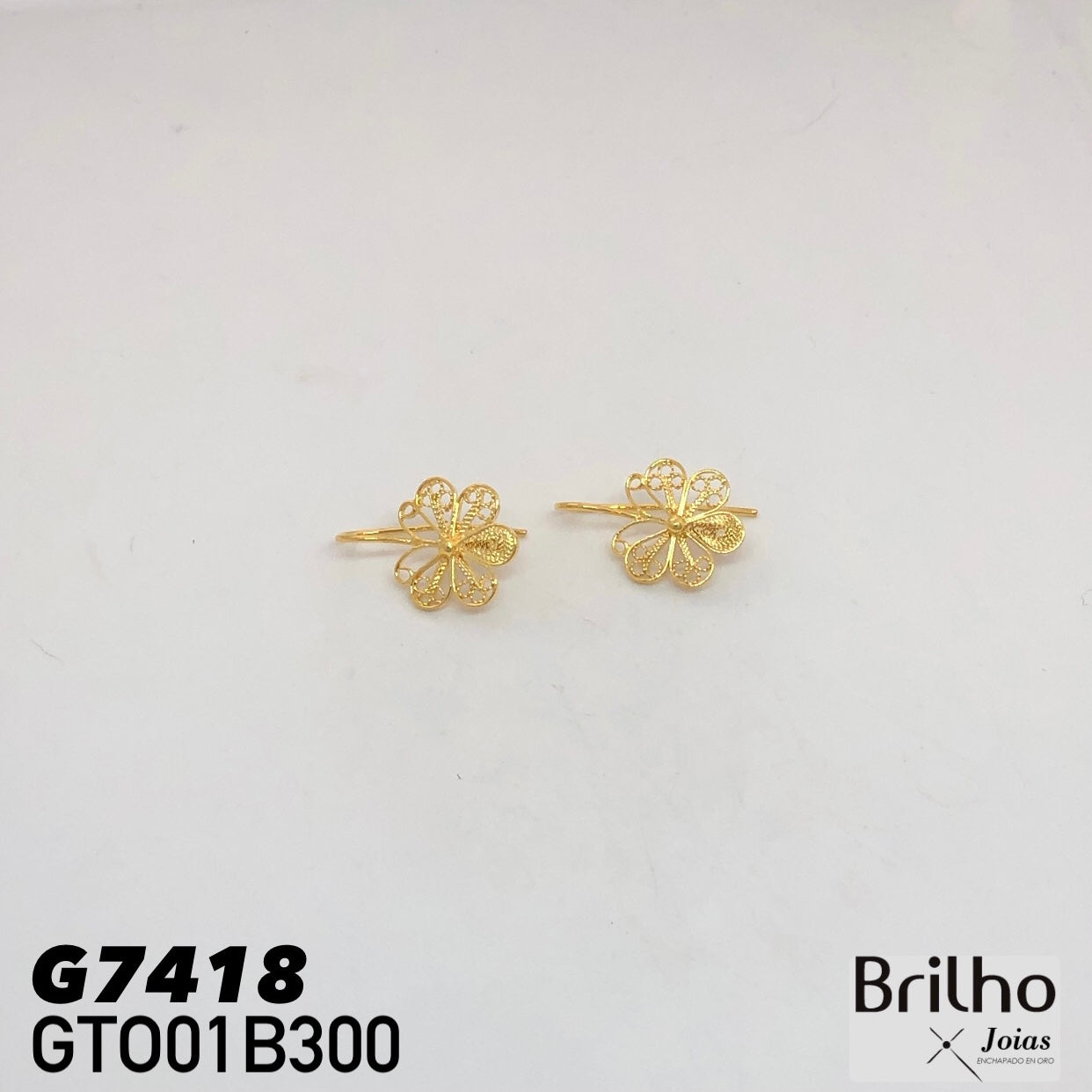 GTO01B300 TOPO