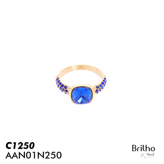 AAN01N250 ANILLO