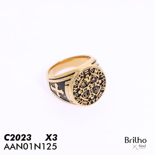 AAN01N125 ANILLO PQX3