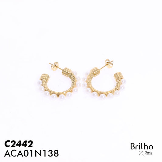 ACA01N138 CANDONGA