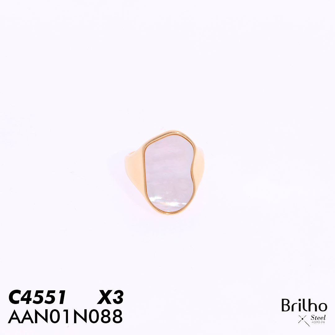 AAN01N088 ANILLO PQX3