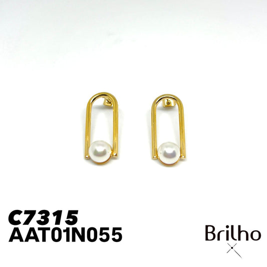 AAT01N055 ARETE