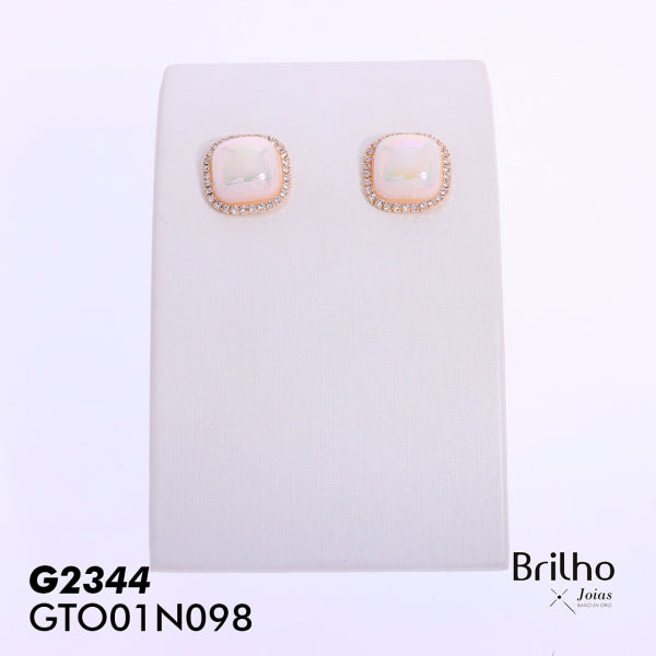 GTO01N098 TOPO