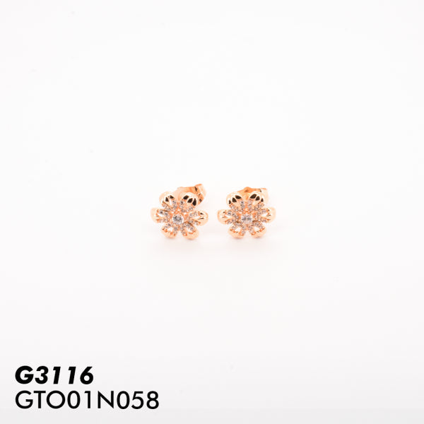 GTO01N058 TOPO