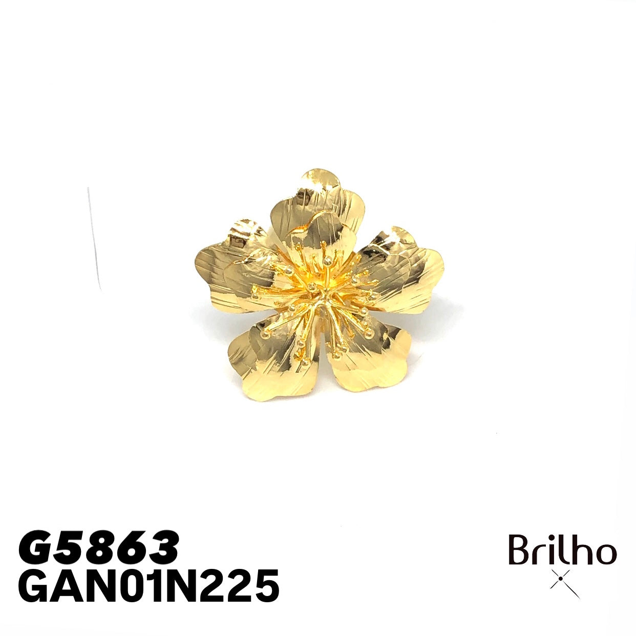 GAN01N225 ANILLO