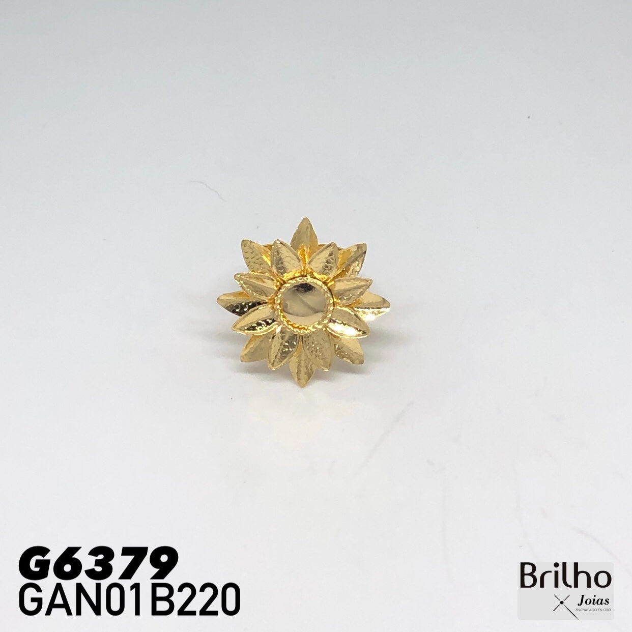 GAN01B220 ANILLO