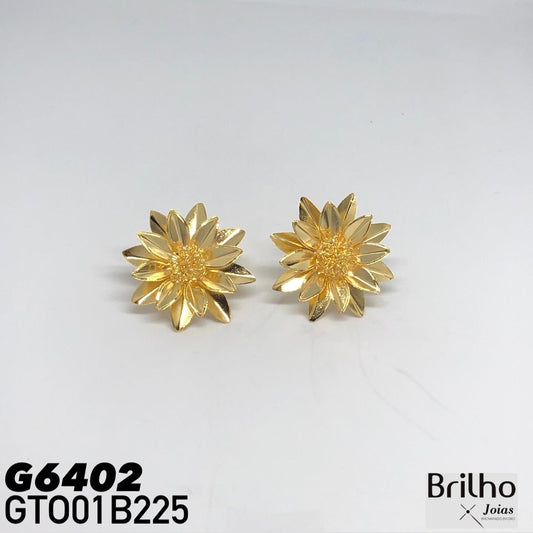GTO01B225 TOPO