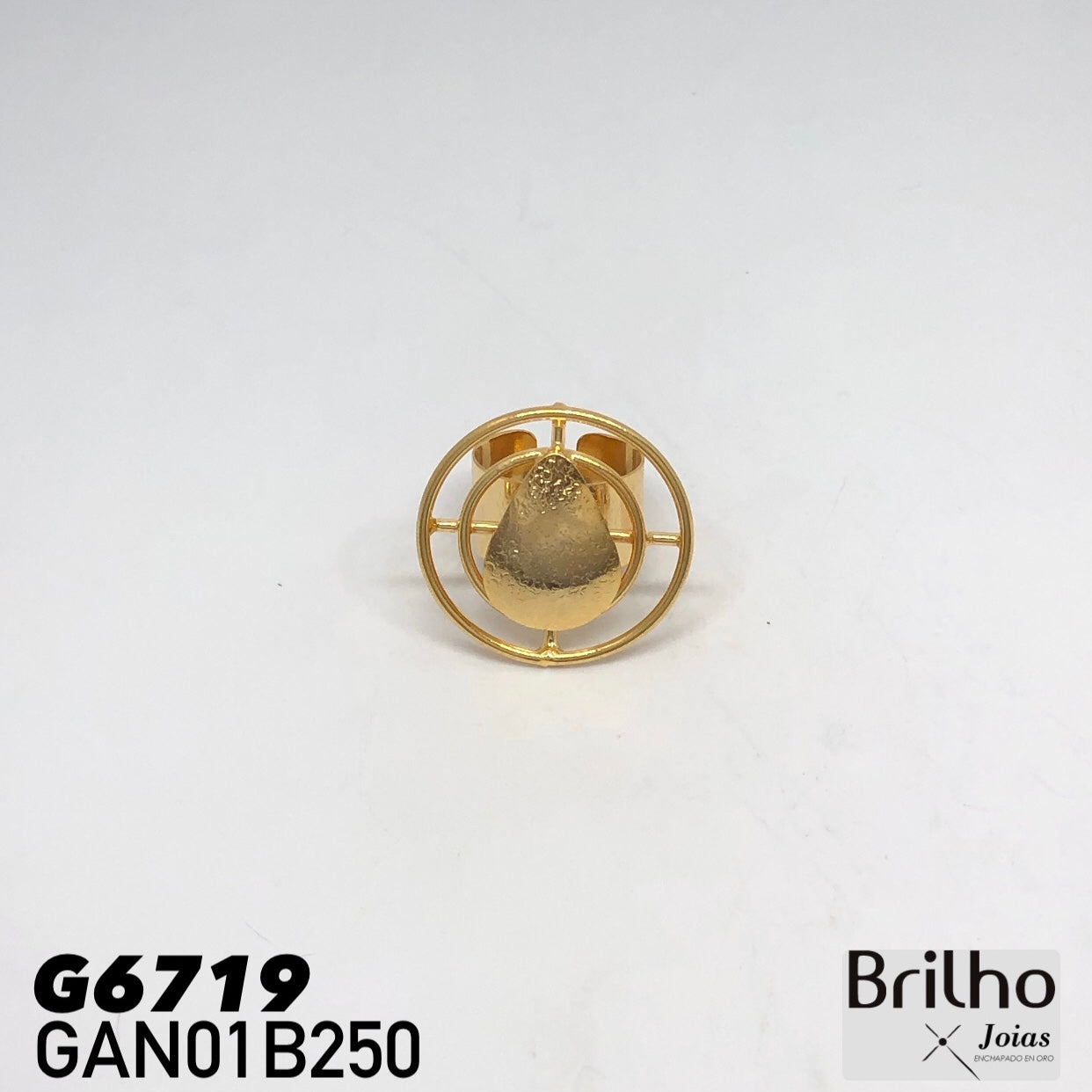 GAN01B250 ANILLO