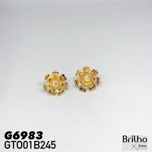 GTO01B245 TOPO