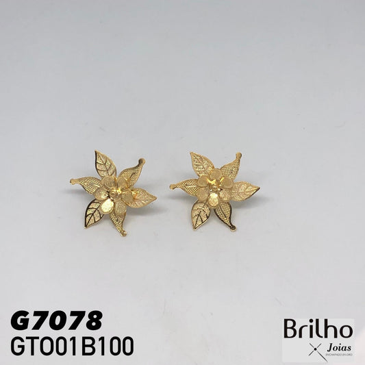 GTO01B100 TOPO