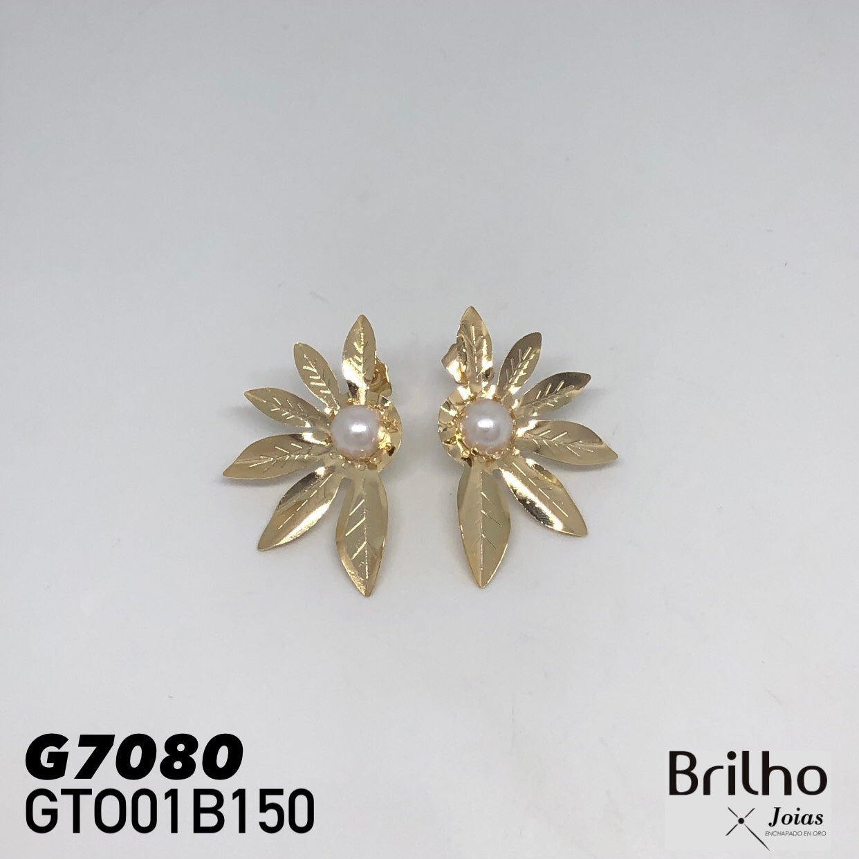 GTO01B150 TOPO