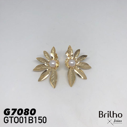 GTO01B150 TOPO