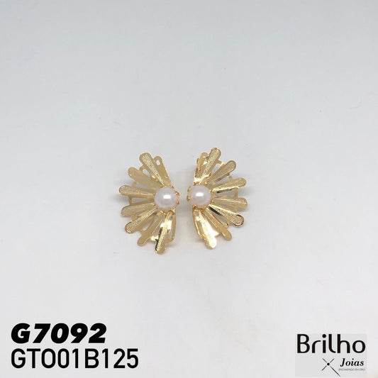 GTO01B125 TOPO