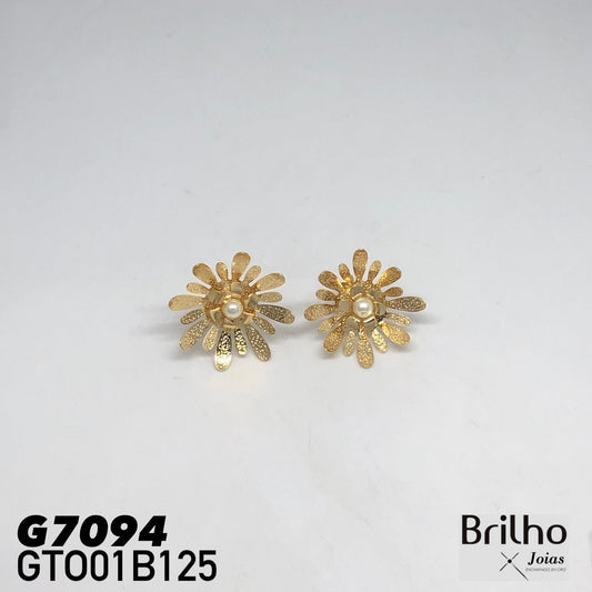GTO01B125 TOPO