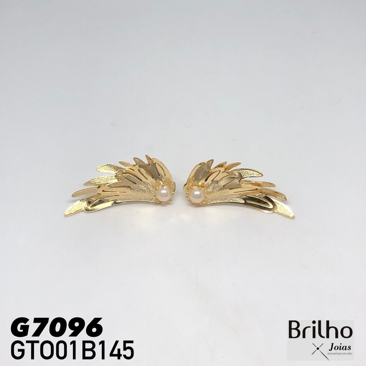 GTO01B145 TOPO