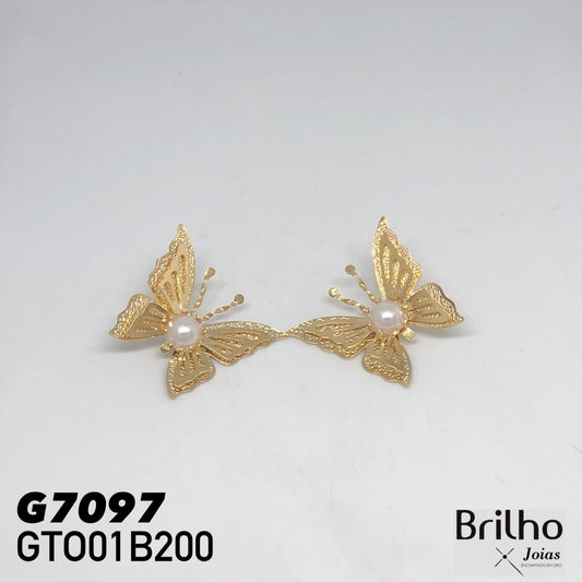 GTO01B200 TOPO