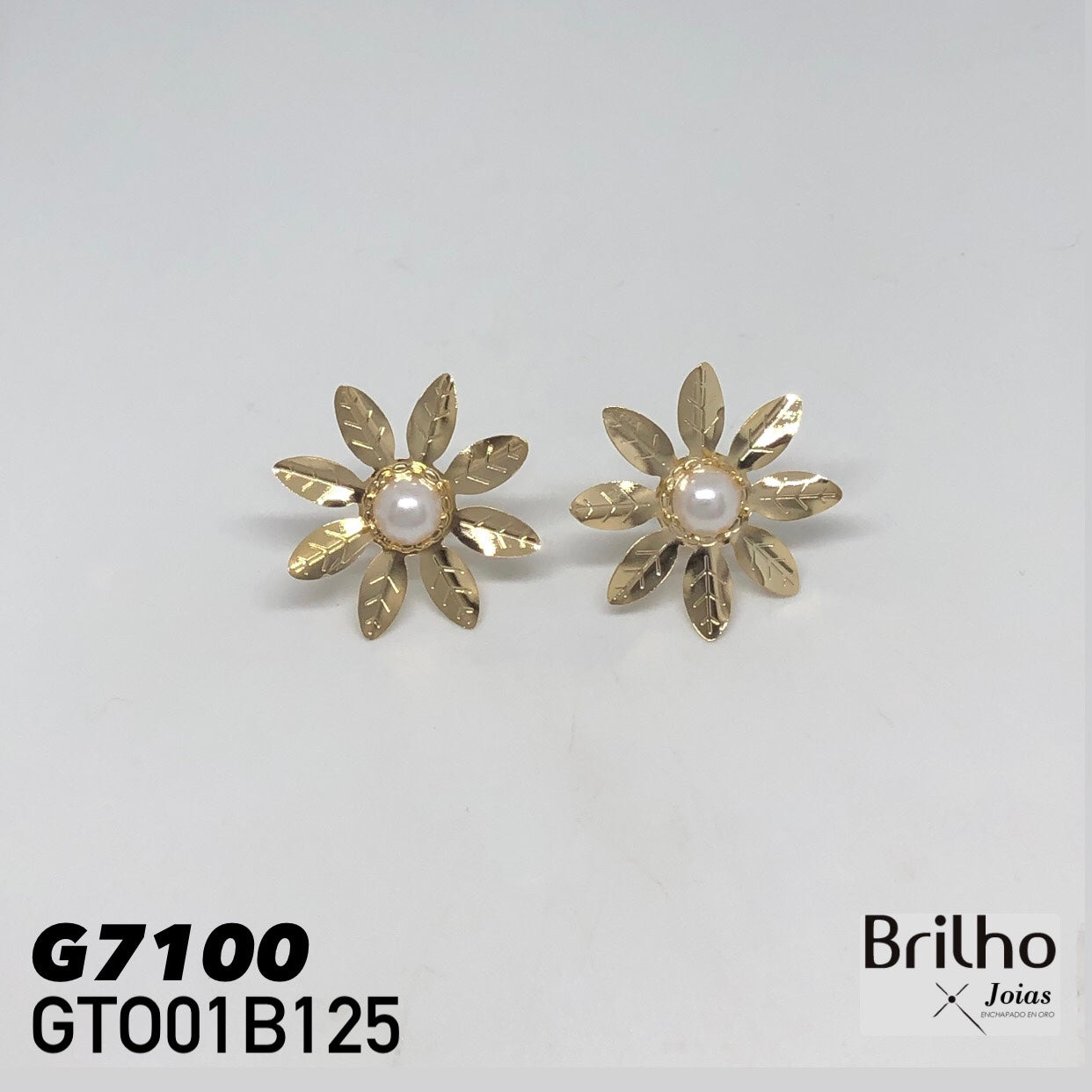 GTO01B125 TOPO