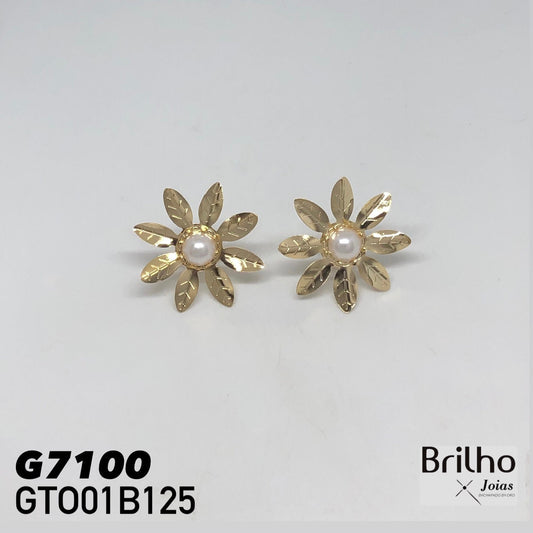 GTO01B125 TOPO