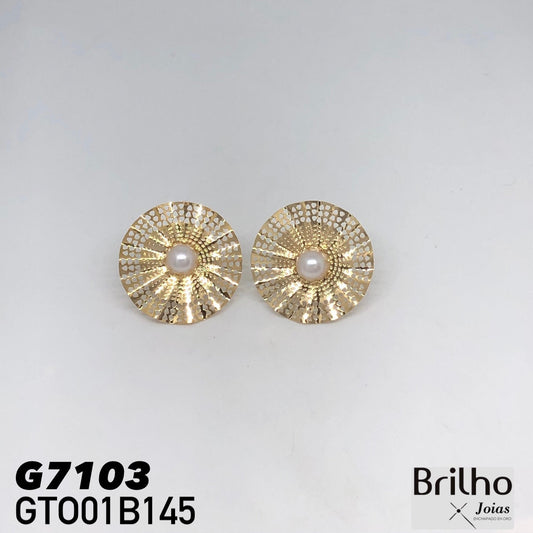 GTO01B145 TOPO
