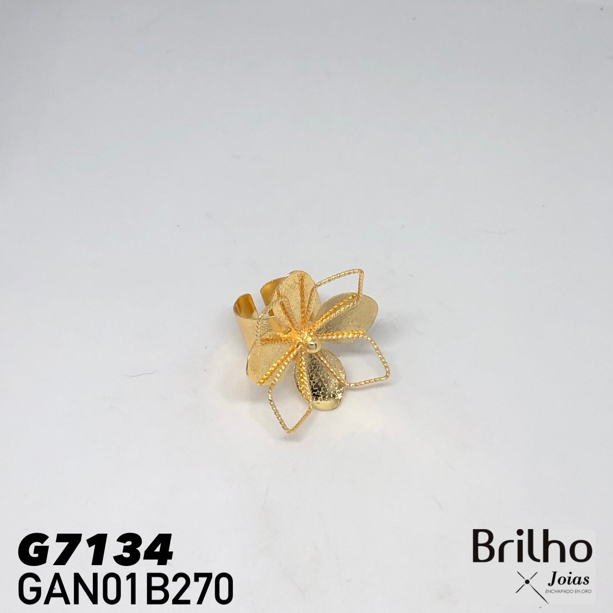 GAN01B270 ANILLO