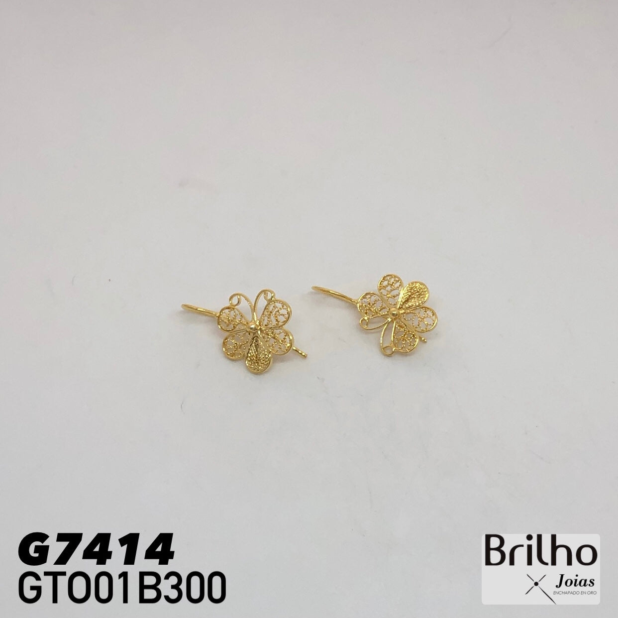 GTO01B300 TOPO